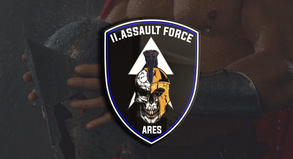 ASSAULT FORCE